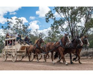 cobb & co horse drawn carriage yuleba qld