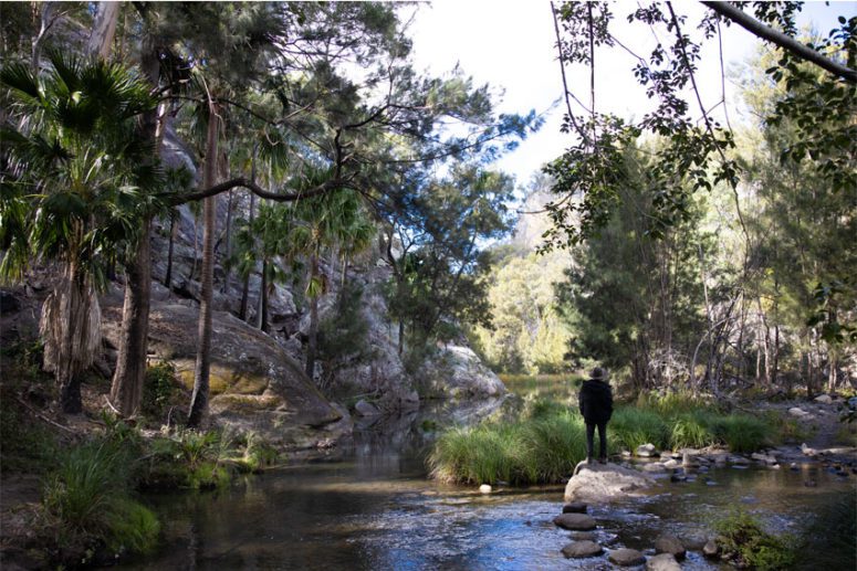 tours from brisbane to carnarvon gorge