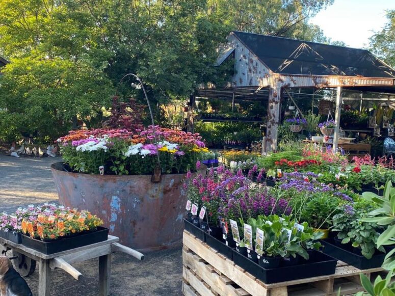 Moorelands Bush Nursery