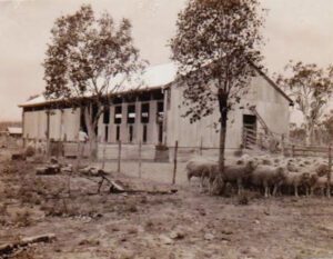 Barramundi Woolshed