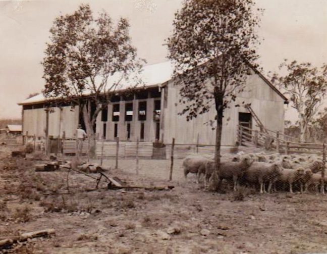 Barramundi Woolshed